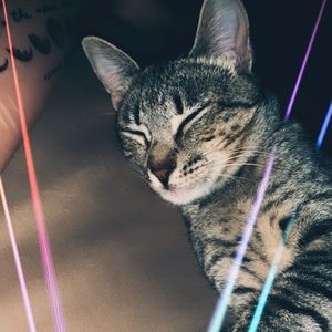 Meet your Posher, Melina